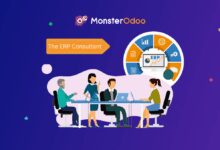 erp consultant hourly rate