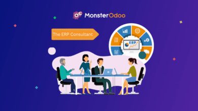 erp consultant hourly rate