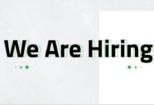 erp implementation consultant