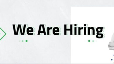 erp implementation consultant